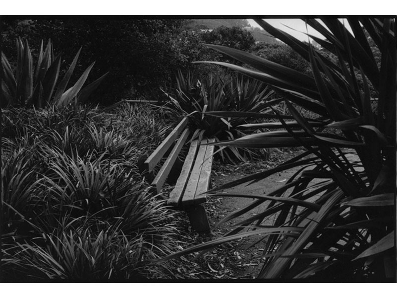 BENCH